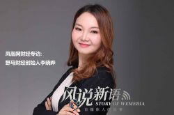 8分钟科普下!新成立的咨询公司好吗_哔哩哔哩-2